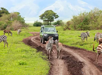A Great African Exploration