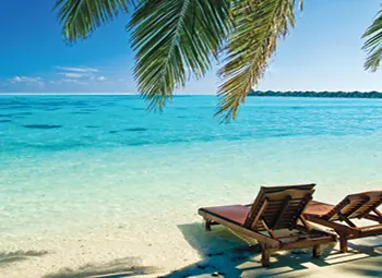 Tropical Malaysian Cities