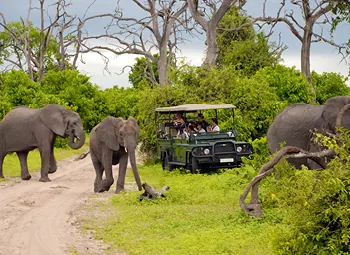 Botswana Exploration - Great Wilderness Journey