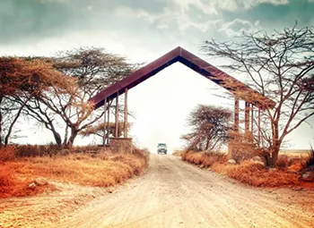 Le Safari Grandeur Nature