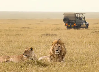 Elewana Sky Safari