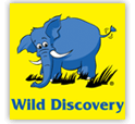 logo Wild Discovery